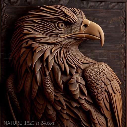 Nature and animals (st eagle 4, NATURE_1820) 3D models for cnc